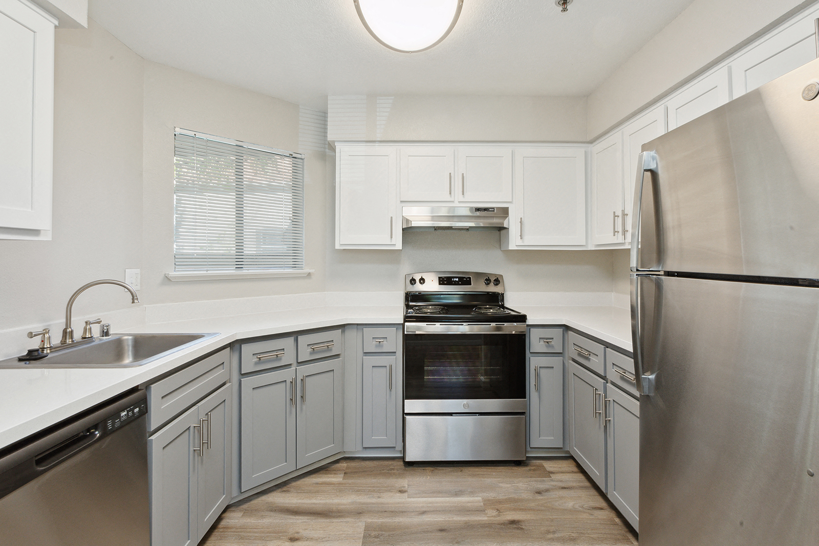 ReNew on Summerfield photo 5
